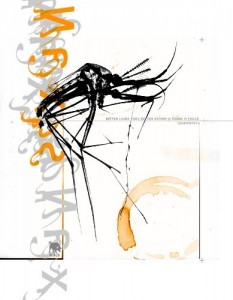 mosquito