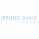 Bruno David Gallery