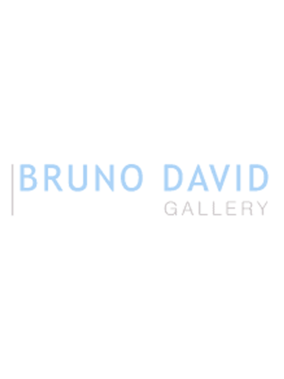 Bruno David Gallery