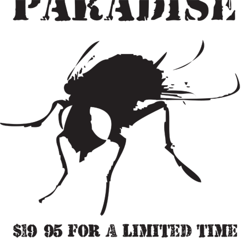 paradise ltd