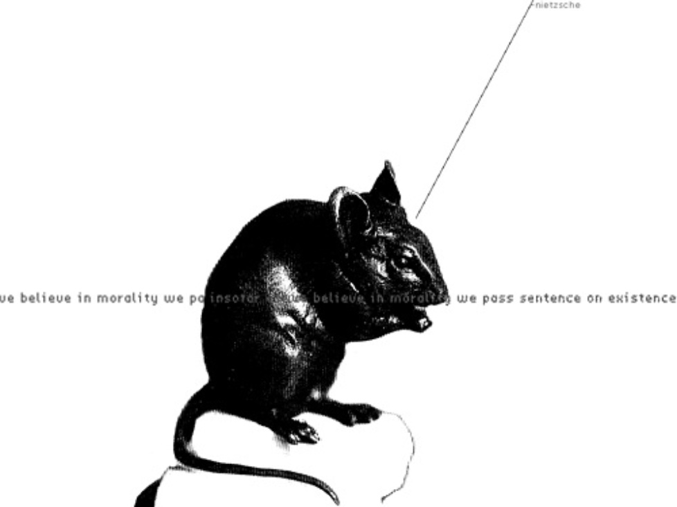 ratty 6b2