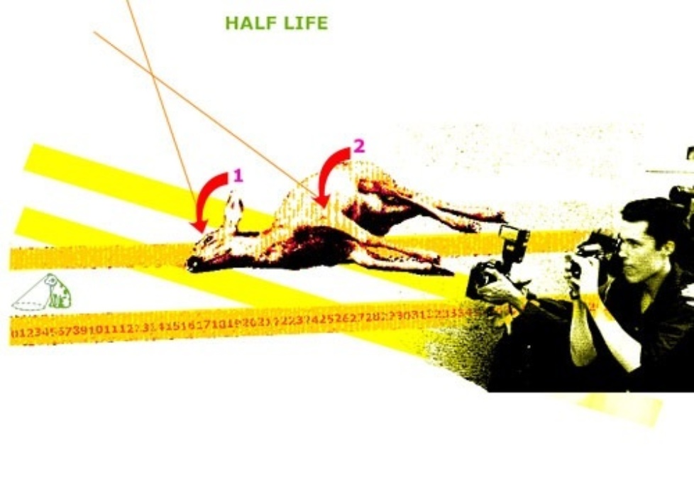 halflife (deer lores)