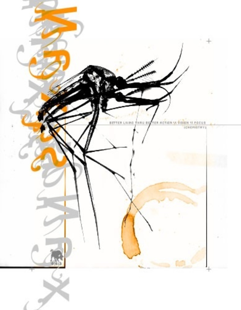 mosquito